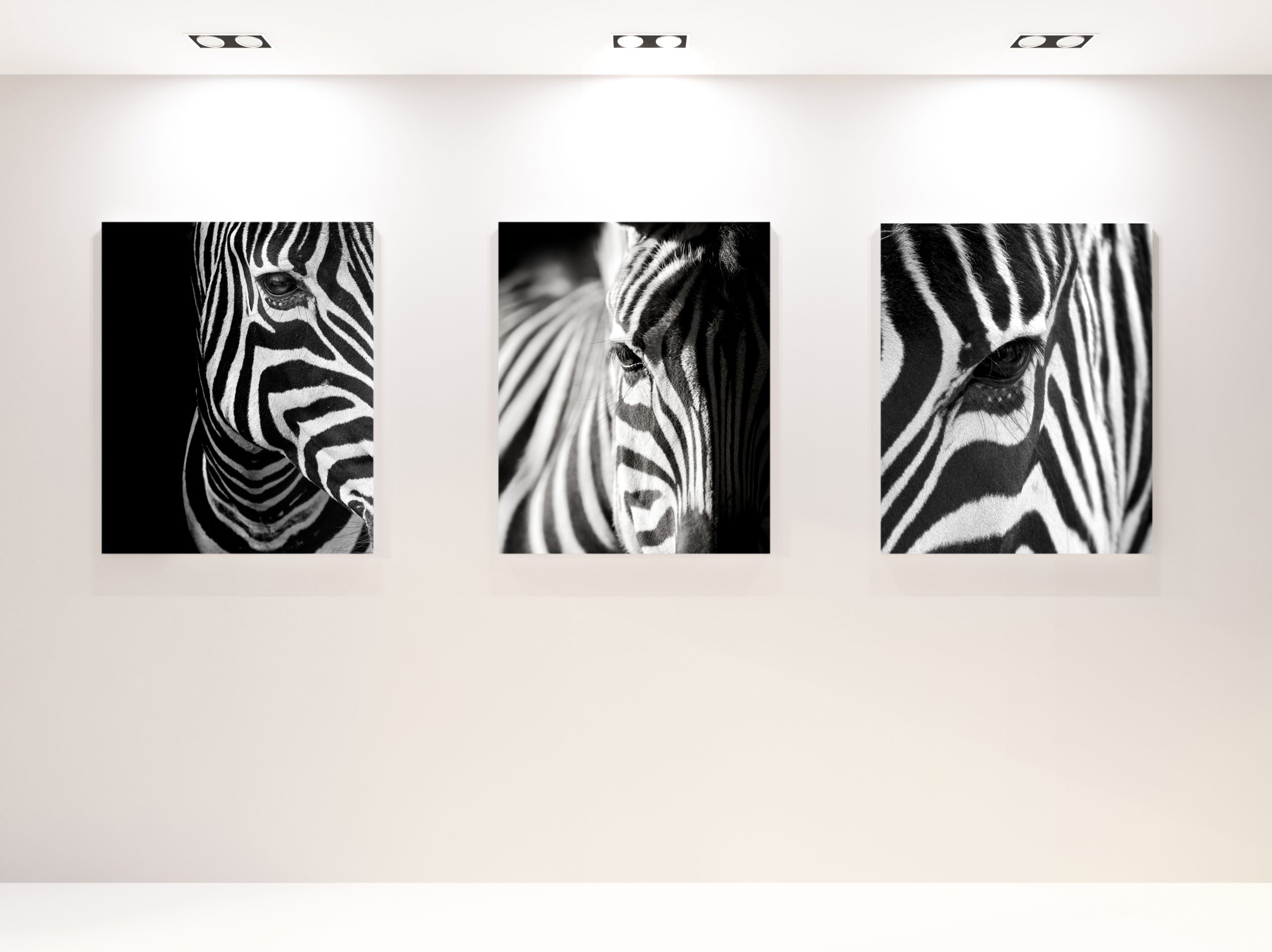 Artiteq_001347